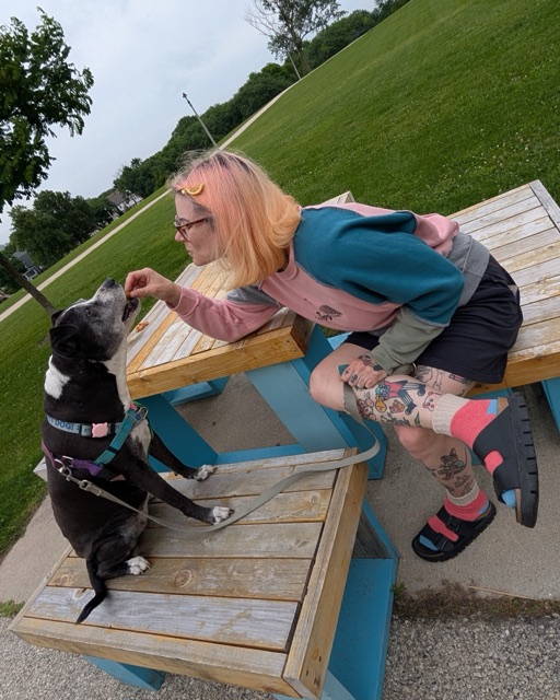 Gemmy sitting on a picnic table at a park, leaning down to hand a treat to a grey and white dog